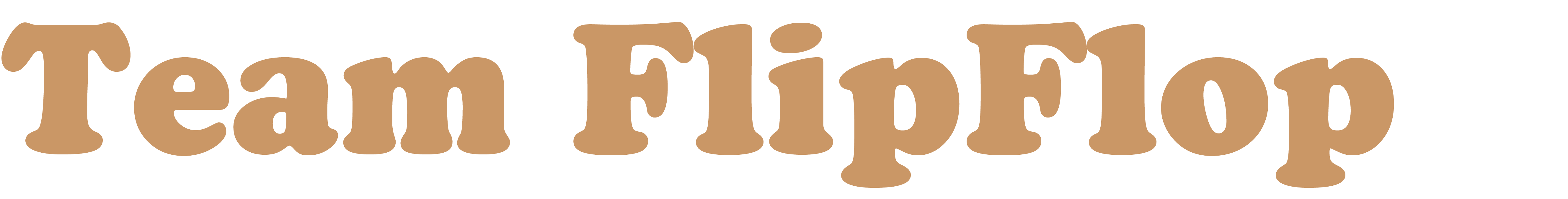 Team FlipFlop